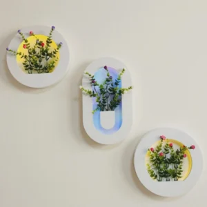 two Circle one capsule  – Floral Glow Wall Frame